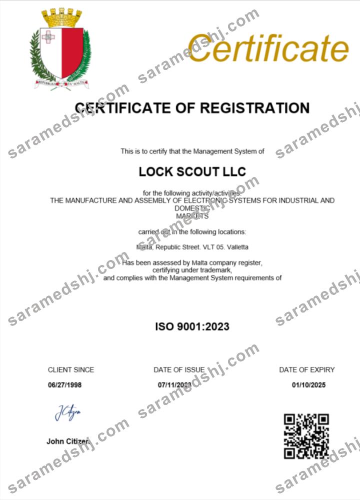 Malta business registration certificate Word and PDF template